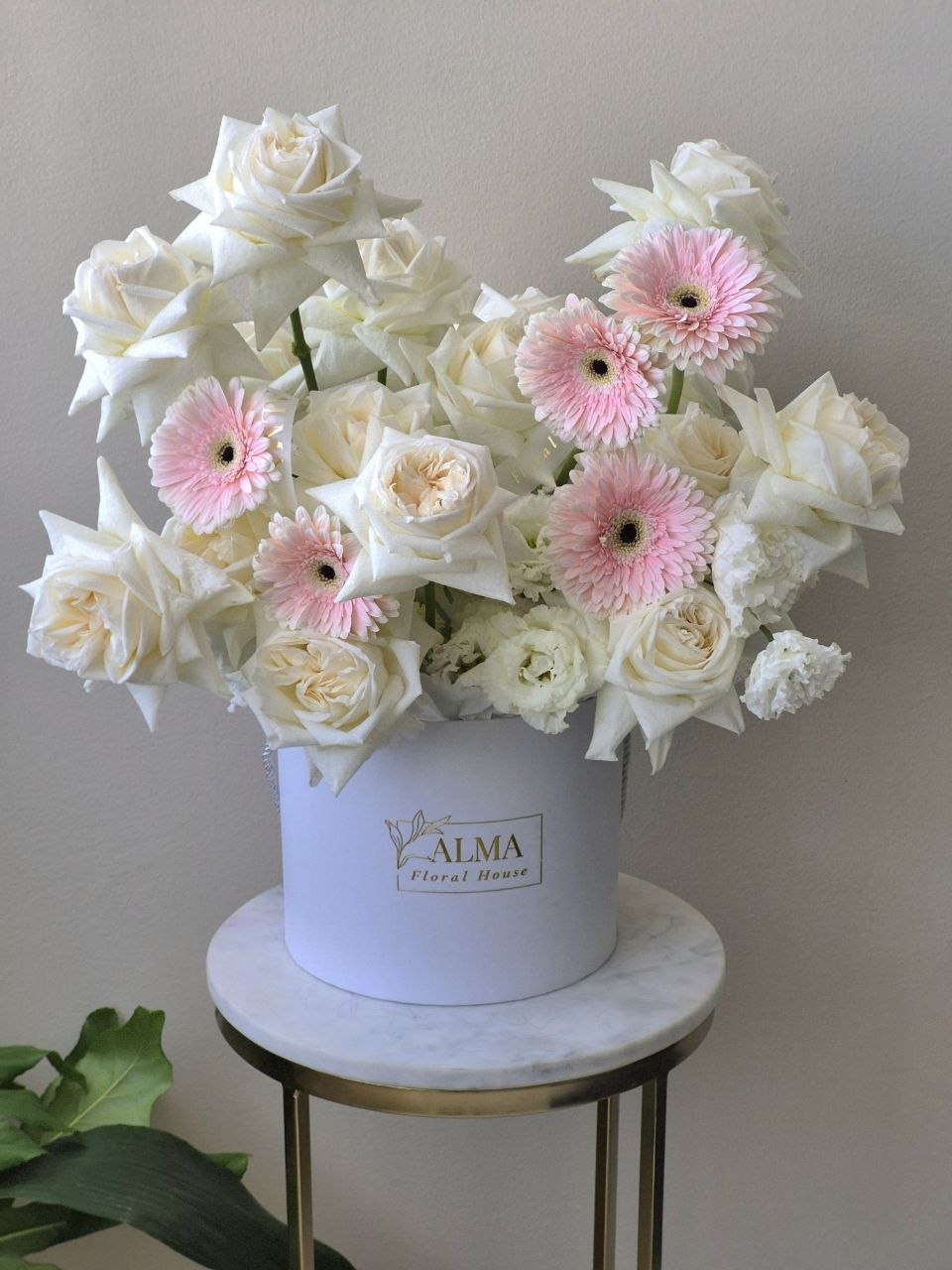 Champagne Bloom